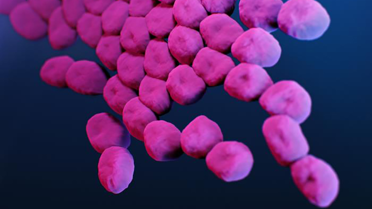 CDC